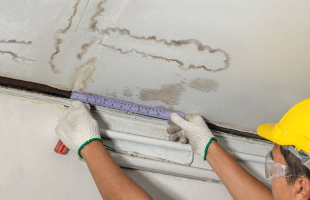 Reliable Water Damage contractor in Cranbury, NJ by Water Damage Irwin